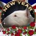 Diane Mccann - Facebook