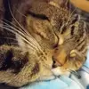 Diane Mclay - @diane.mclay - TikTok