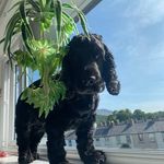 Diane McConnell - @diane_mcconnell - Instagram