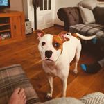Diane Mcconnell - @diane.mcconnell2022 - Instagram