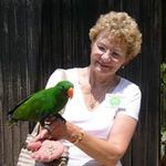Diane McDougall - @di.mcdougall - Instagram