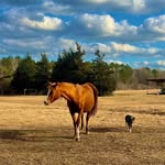 Diane McDougall - @diane.mcdgll - Instagram