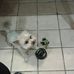 Diane Lynn McElwee - Facebook
