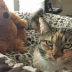 Diane Mcgowan - @mcgowan2600 - Instagram