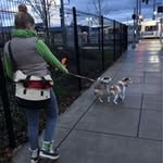 Diane McLendon - @diane_pdx - Instagram