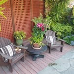 Diane Meade - @diane.meade.75 - Instagram