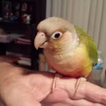 Diane Meade - @meade9290 - Instagram