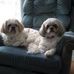 Diane Melanson - Facebook