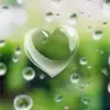 Diane Melanson - @dianemelanson - TikTok