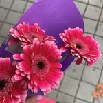 Diane Mena - @dobnigdomkam23 - Instagram