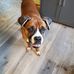 Diane Merrell - Facebook