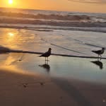 Diane Burnett Messer - @dianeburnettmesser - Instagram