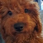 Diane McClure-Messer - @mccluremesser - Instagram