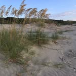 Diane Messer - @dmesser2 - Instagram