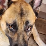 Diane Messer - @diane.messer.7796 - Instagram
