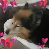 Diane Méthot903 - @usere96z9xv2aa - TikTok