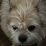 Diane Meyerhoff - @meyerhoffdian - Instagram