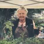 Diane Miersch - @dianemiersch - Instagram
