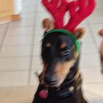 Diane Miley - @diane.miley.79 - Instagram