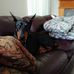 Diane Miley - Facebook