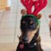 Diane Miley - Facebook
