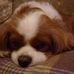 Diane Miley - Facebook
