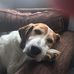 Diane Milgate - Facebook