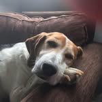 Diane Milgate - @dianemilgate - Instagram