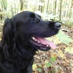 Diane Millar - @dmmillar49 - Instagram