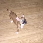 Diane Millard - @millard_diane - Instagram