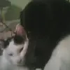dianemillard956 - @dianemillard956 - TikTok