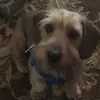 Diane Millian - @diane.millian - TikTok