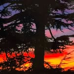 Diane Millman - @millman_diane - Instagram