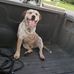 Diane Mims - Facebook