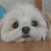 Diane Minder - Facebook