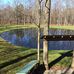 Diane Miniger - Facebook