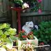 Mona Smith Dennie - Facebook