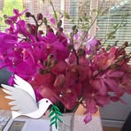 Diane Monk - Facebook