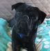 Diane Monk - Facebook