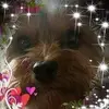Diane Monk - @dianemonk - TikTok