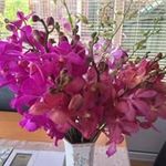 Diane Monk - @dirose49 - Instagram