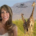 Diane Monroe - @diane6165 - Instagram