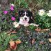 Diane Moorhead - Facebook
