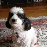 Diane Moorhead - @diane.moorhead - Instagram