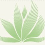 Diane Morgenthaler - @drdiane26 - Instagram