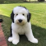 Diane Nathan - @dotek31149 - Instagram