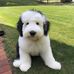 Diane Nathan - Facebook