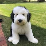 Diane Nathan - @poohpotdiane - Instagram