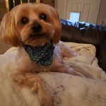 Dee Diane Needham Wilson - @deedianewilson - Instagram