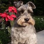 Diane Needham - @diane.needham.180 - Instagram